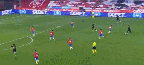 那不勒斯官方：洛博特卡在意杯赛前热身时左腿后胫肌拉伤